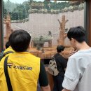 국가철도공단 사회공헌팀과 함께 과천 서울대공원 ‘가을캠프’ 이미지