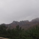 모두두모 이미지