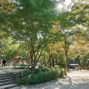 봄정형외과의원 이미지