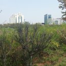 국민은행(한국주택은행) 이미지