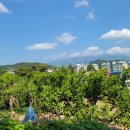 덕송부동산중개사무소 이미지