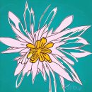 대박정보통신 이미지