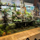 VIP아쿠아카페 이미지