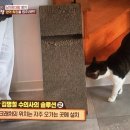 개토농장 이미지