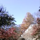 성터 Daum카페