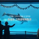 물뿜는 고래 | 울산 아이와 가볼만한 곳 장생포 고래생태체험관 : 요금, 볼거리, 방문후기