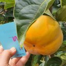 은실농장 이미지