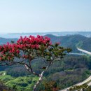 도화동산 이미지