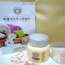와이제이앤