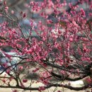 의령 상정리 조씨고가 이미지