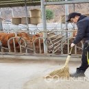 보은축산 국제뉴스