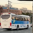 나래인터네셔널