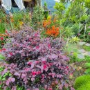 별이야기민박 이미지