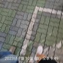 스타벅스 영동2교점 이미지