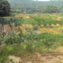 풍림농장 이미지