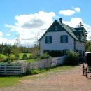 초록지붕 이미지