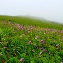 비산고가 아래 이미지