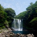 천제연폭포 이미지