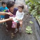 석호농원 이미지