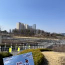 현병원 | [세종] 주말 나들이 추천! 세종 건강 걷기대회 다녀온 생생 후기 (feat. 서울현병원)