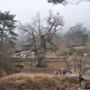 천태산주차장 이미지