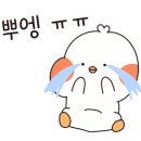 타이어프로 동대구점 이미지