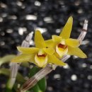 석곡농협 하나로마트 이미지