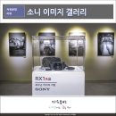 에스디 코리아(SD KOREA) | 소니 이미지 갤러리, RX1RM3 미러리스 카메라로 담은 노들섬 사진전 후기