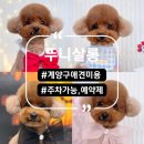 뚜니살롱 | [계양구] 확장한 “뚜니살롱” 내돈내산 (솔직 후기) 예약 필수