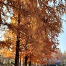 ㈜마실관광 이미지