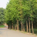 화곡사거리 이미지