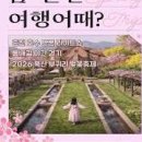 유정이야기숲 Daum카페