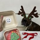 꼼스테이블 이미지