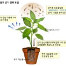 가사앤육아 이미지