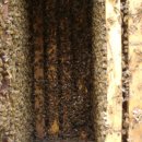 (주)신왕 이미지