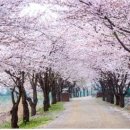 황구지천 자전거길(하천) 이미지