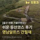천주산 등산 도로변 | 울산 여행 간월재 영남알프스 억새군락지 등산 쉬운코스 주차 정보