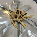 송연식당 | [송연] 천안 한정식, 상견례 식당 추천, 음식 상세후기 남겨요