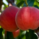 (주)서림개발 이미지