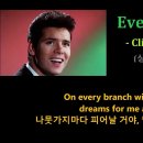 Evergreen Tree./.Tears in Heaven./.사랑없인 난 못살아요 이미지
