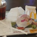 보리토리 이미지