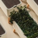수위계 | 🌿초보 식집사 필수템! 물 주기 걱정 끝내는 OLLY 올리 인테리어 저면관수 대형 화분 OLGP01 솔직 후기