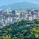 서울주단 이미지