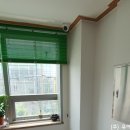 서울에스티셀의원