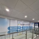 사임당로12길 11 이미지