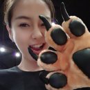 곰발바닥 이미지