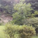 강남여주부동산공인중개사사무소 이미지