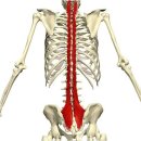 디오필라앤핏 오목교점 이미지