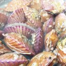 시온수산 이미지