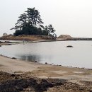 삼밭골주유소 이미지